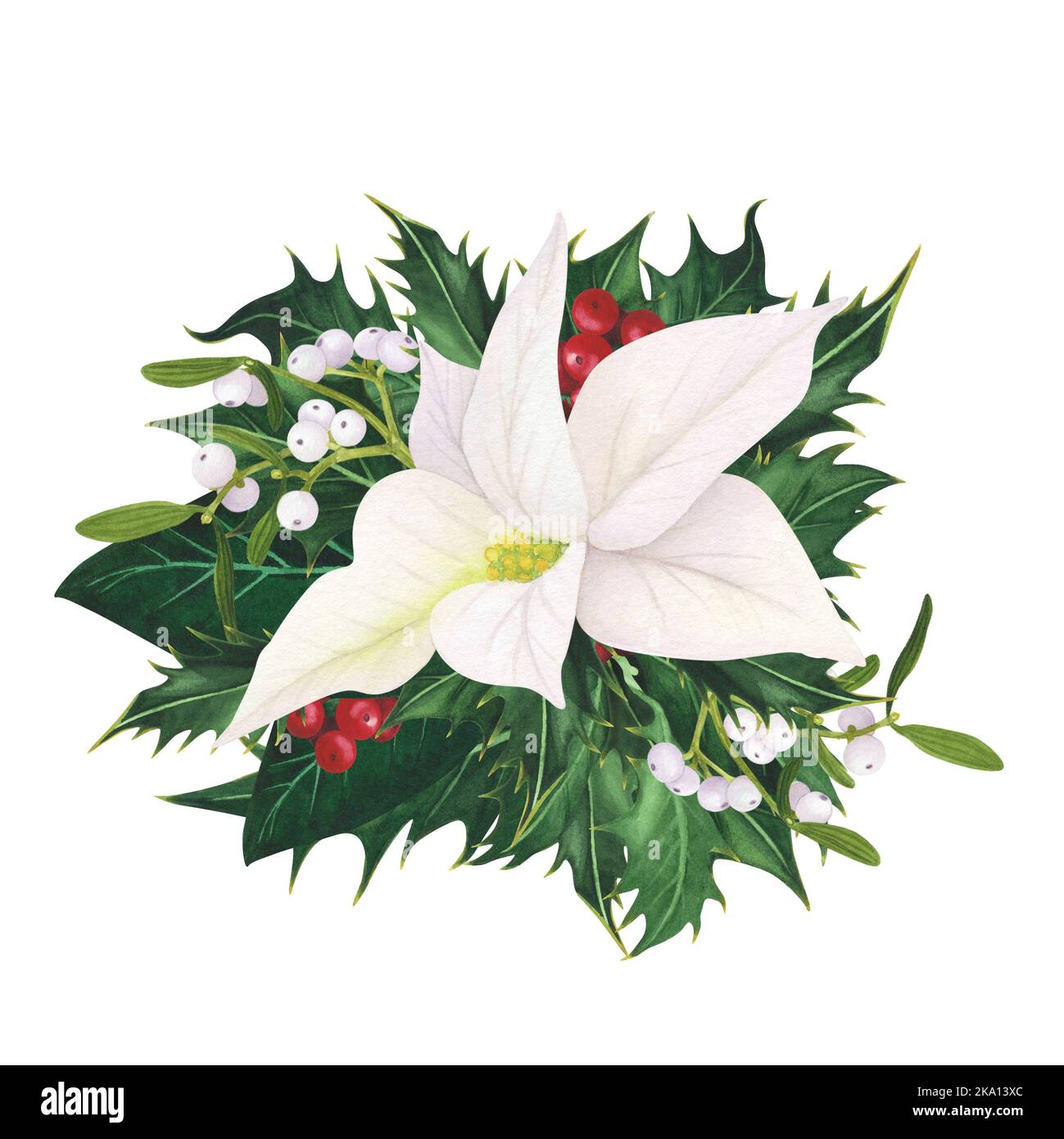 Agrifoglio di Natale agrifoglio bacche, Poinsettia bianca, Mistletoe isolato su sfondo bianco. Acquerello botanico mano disegnata illustrazione di Natale. Arte Foto Stock