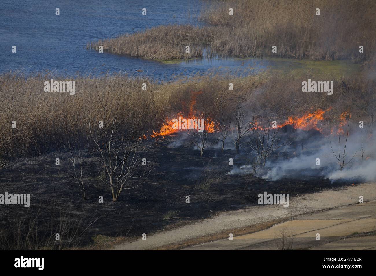 Bucarest, Romania - 5 aprile 2022: Fuoco di vegetazione nel parco di Vacaresti natura di riserva Foto Stock