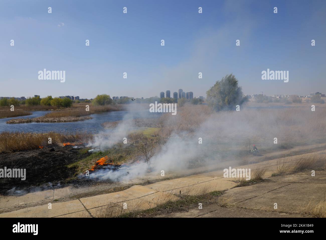 Bucarest, Romania - 5 aprile 2022: I vigili del fuoco cercano di estinguere un fuoco di vegetazione nella riserva naturale del parco di Vacaresti. Foto Stock
