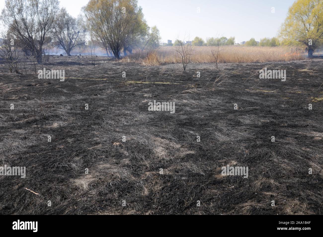 Bucarest, Romania - 5 aprile 2022: Fuoco di vegetazione nel parco di Vacaresti natura di riserva Foto Stock