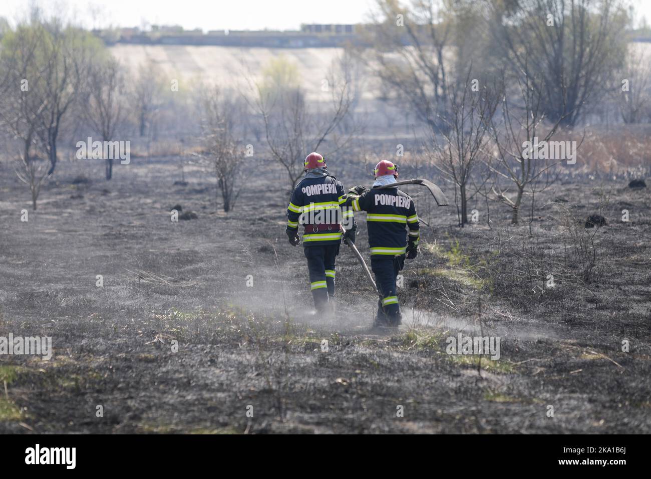 Bucarest, Romania - 5 aprile 2022: I vigili del fuoco cercano di estinguere un fuoco di vegetazione nella riserva naturale del parco di Vacaresti. Foto Stock