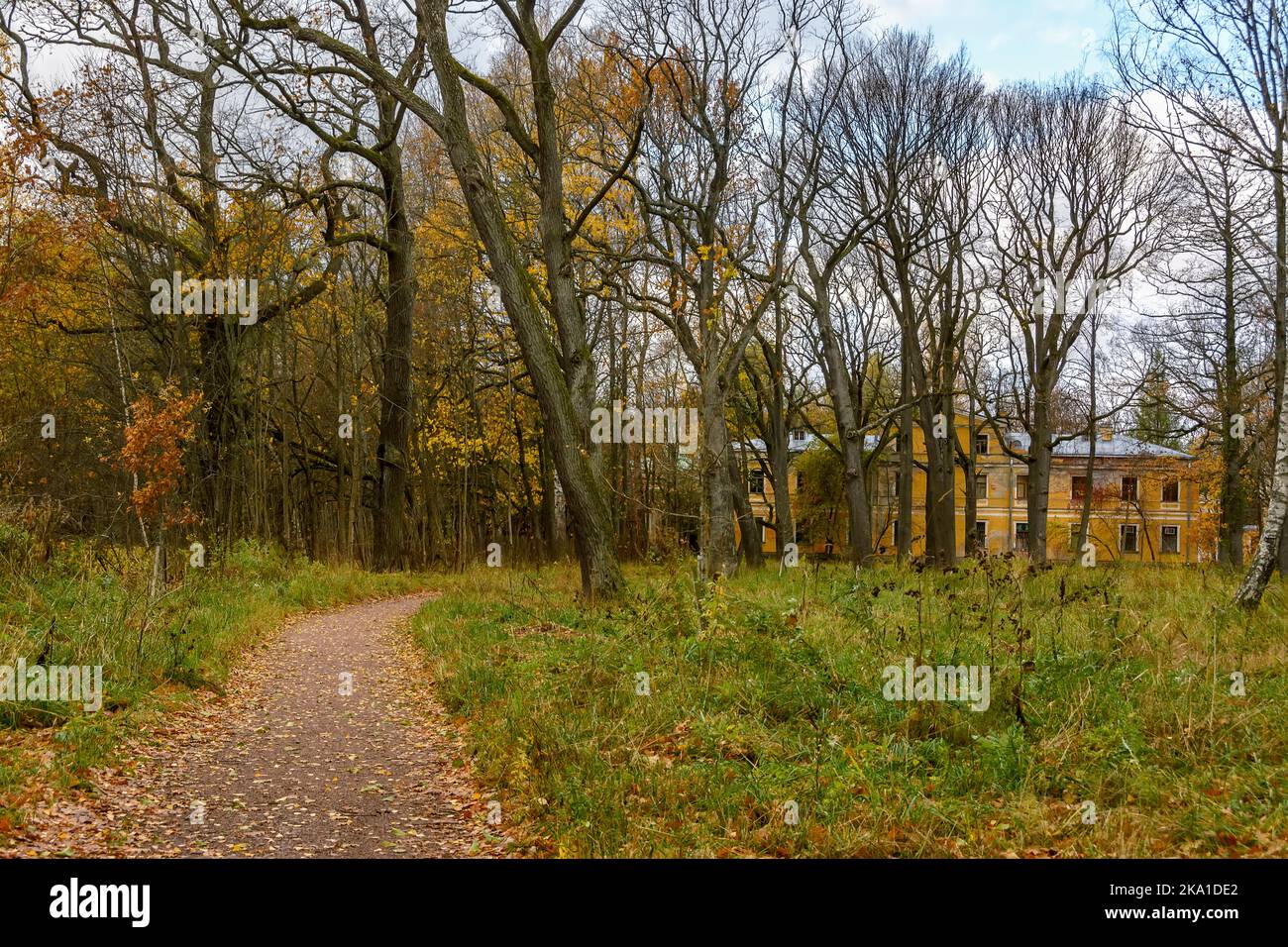 Paesaggi autunnali nel parco di Sergeevka sul territorio dell'ex tenuta dei Leuchtenbergskys nella regione di Leningrado. Foto Stock