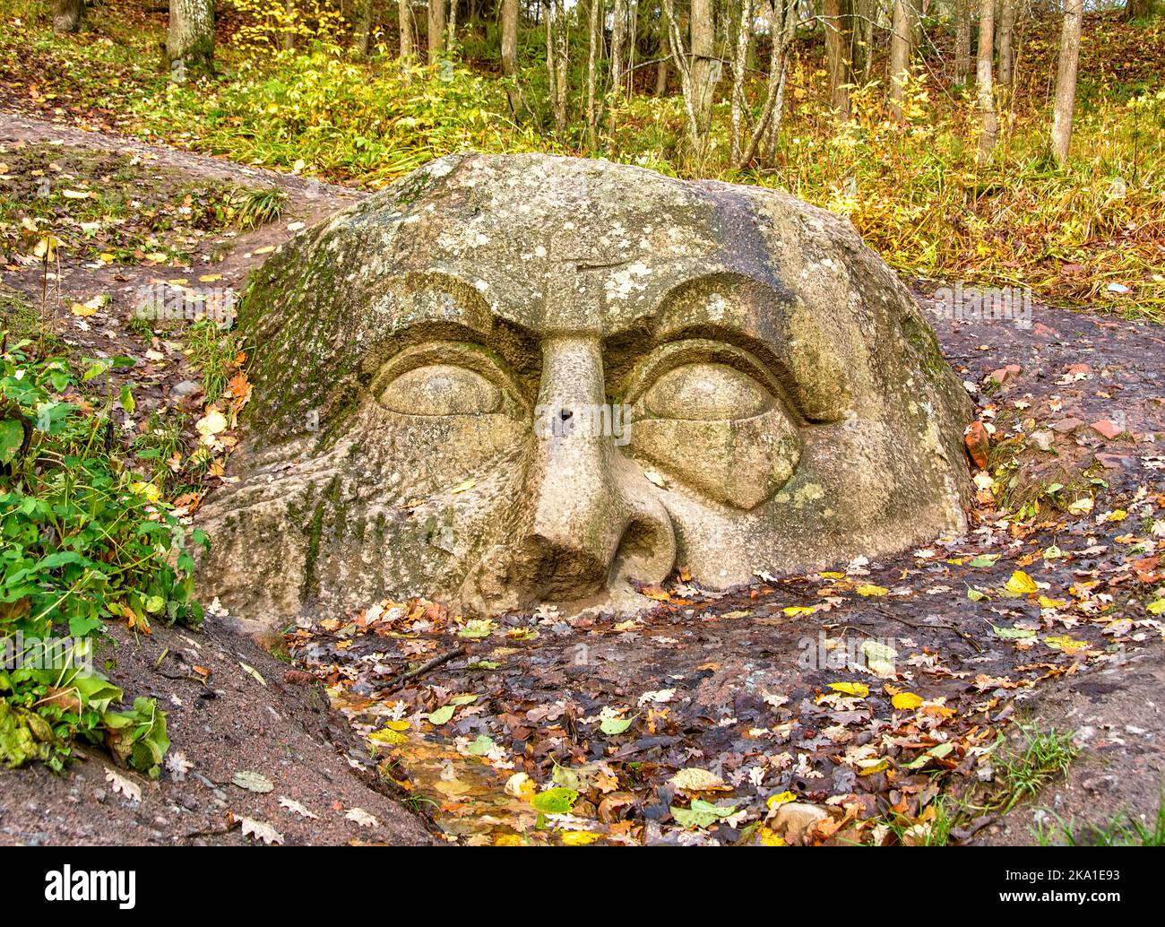 Testa o scultura alla sorgente. Scultura di un maestro ignoto, scolpita in un masso di granito gigante e situata sul territorio dell'ex tenuta o Foto Stock