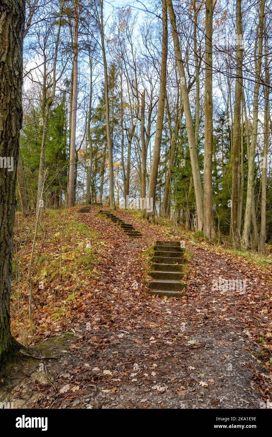 Paesaggi autunnali nel parco di Sergeevka sul territorio dell'ex tenuta dei Leuchtenbergskys nella regione di Leningrado. Foto Stock