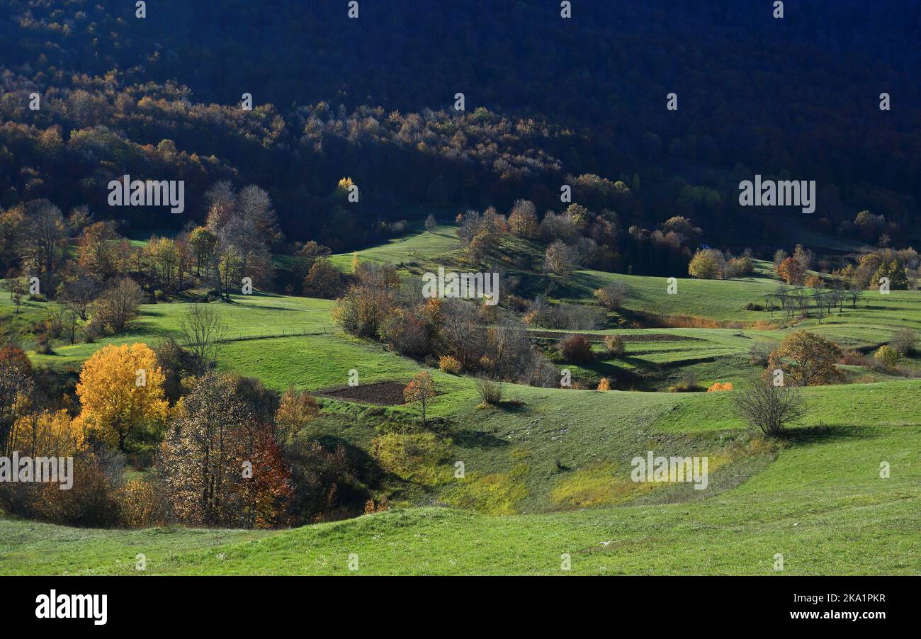 Colori autunnali in natura. Bellissimo paesaggio. Foresta e prati in autunno giorno di sole. Foto Stock