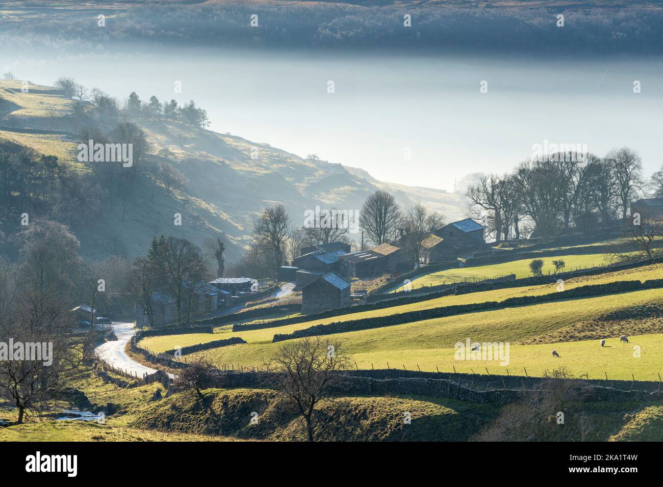 Un'inversione di nube a metà inverno in Wharfedale superiore, Cray, Hubberholme, Yorkshire Dales, Inghilterra Foto Stock