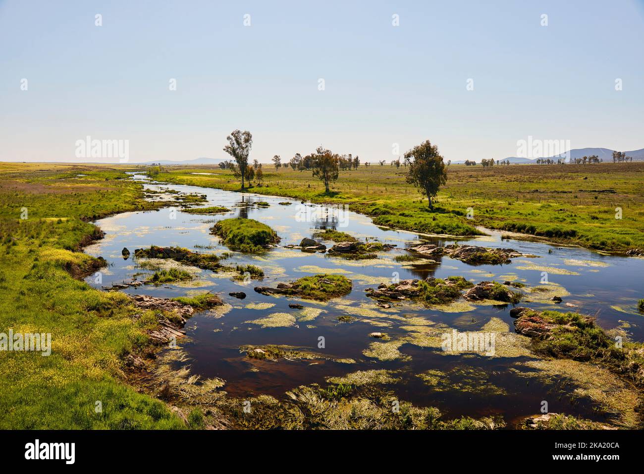 Piccolo fiume in primavera nell'Estremadura Foto Stock