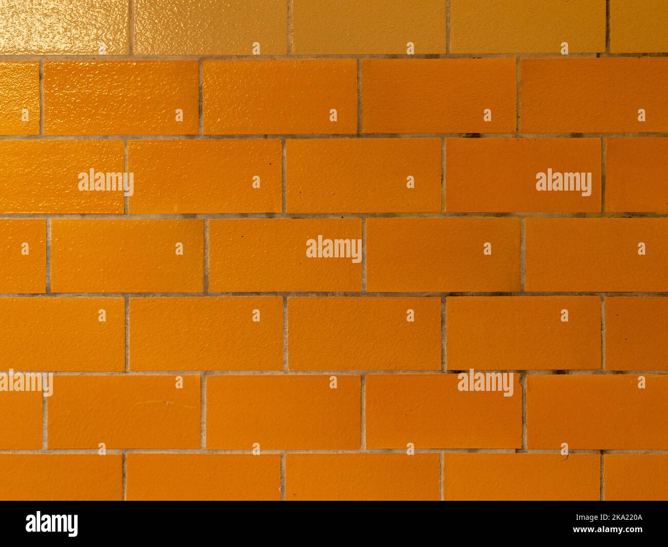 Primo piano di una parete piastrellata gialla. Struttura di sfondo di una vecchia facciata all'interno di un edificio. Design del materiale lucido con giunti delle piastrelle sporchi. Foto Stock