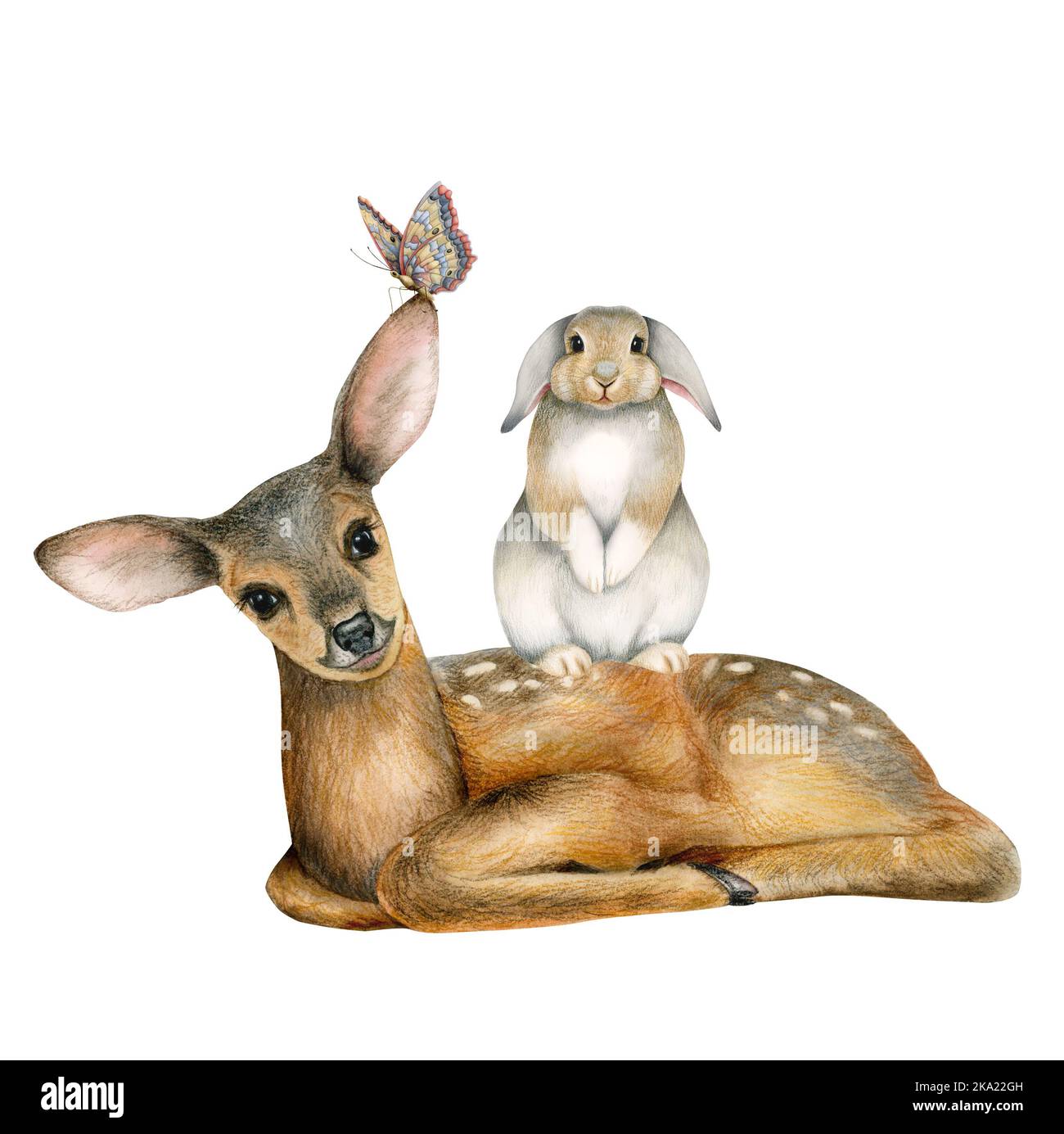 Animali della foresta cute che siedono insieme, illustrazione con piccolo cervo, coniglio e farfalla per il poster della parete della stanza del bambino o inviti dell'acquazzone del bambino Foto Stock