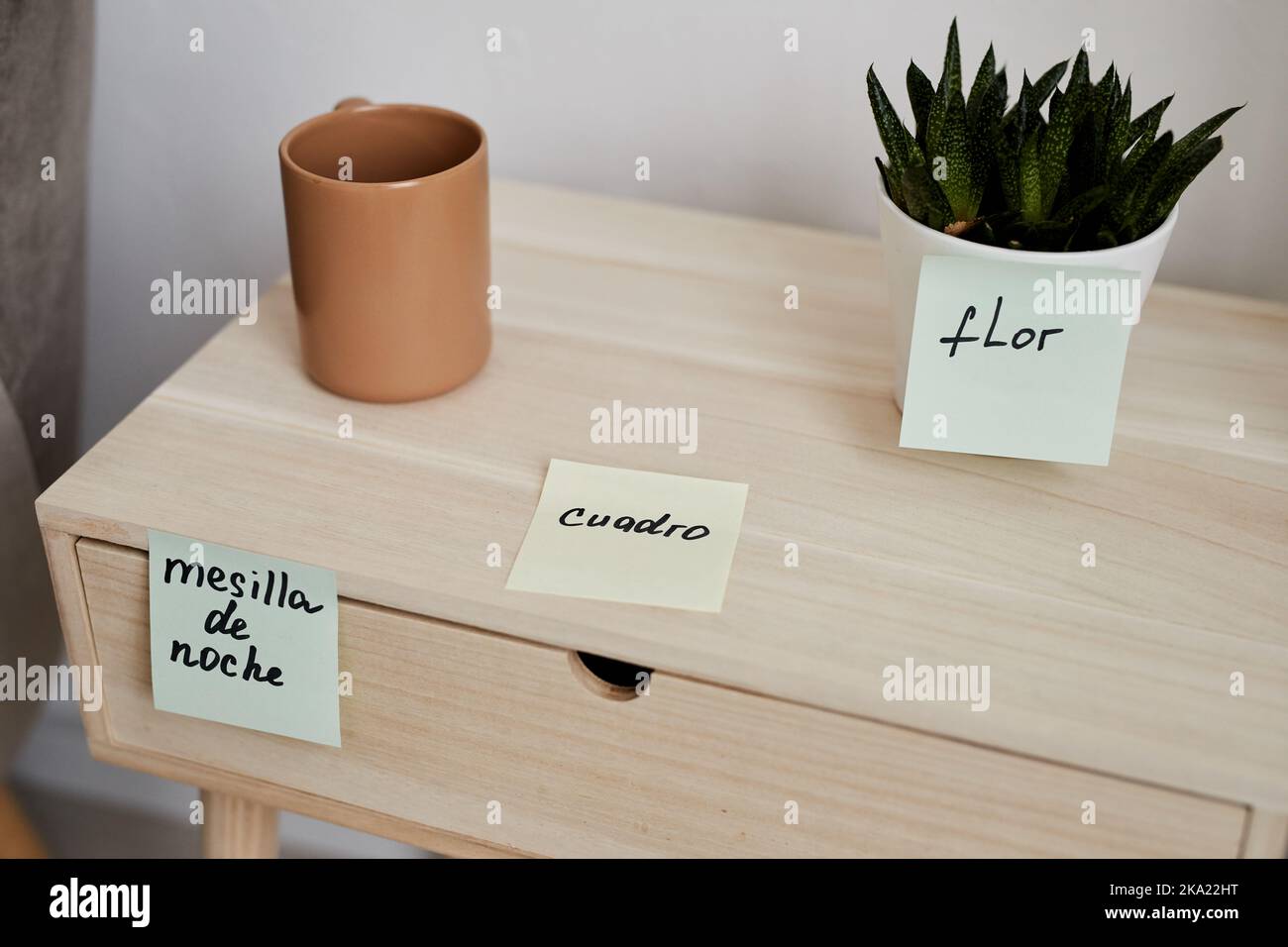 Primo piano di comodino in legno con tazza di caffè e pianta domestica verde in vaso da fiori e adesivi per notepaper con parole spagnole Foto Stock