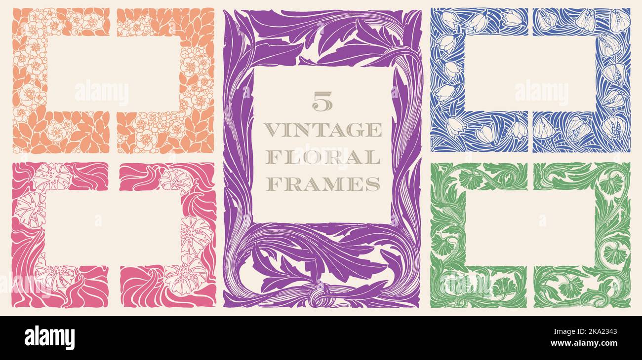 Cornice floreale vintage e bordature Set da 5. Elementi di design per l'uso su prodotti a base di erbe, menu, brochure, copertine di libri, design di confezioni e inviti Illustrazione Vettoriale
