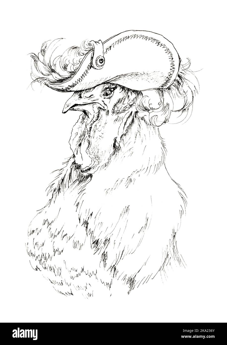 Gallo generale. Disegno comico di un gallo pomposo che indossa un cappello con una piuma. Illustrazione con inchiostro disegnato a mano. Foto Stock