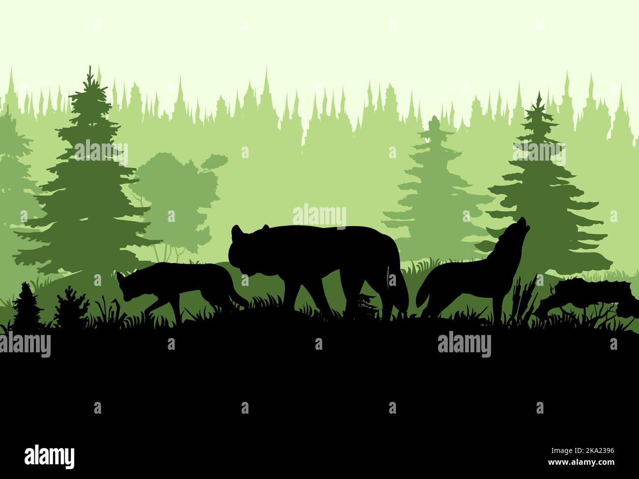 Pacchetto di lupi ai margini della foresta di conifere in taiga. Immagine della silhouette. Animale selvatico in natura. Predator in condizioni naturali. Vettore. Illustrazione Vettoriale