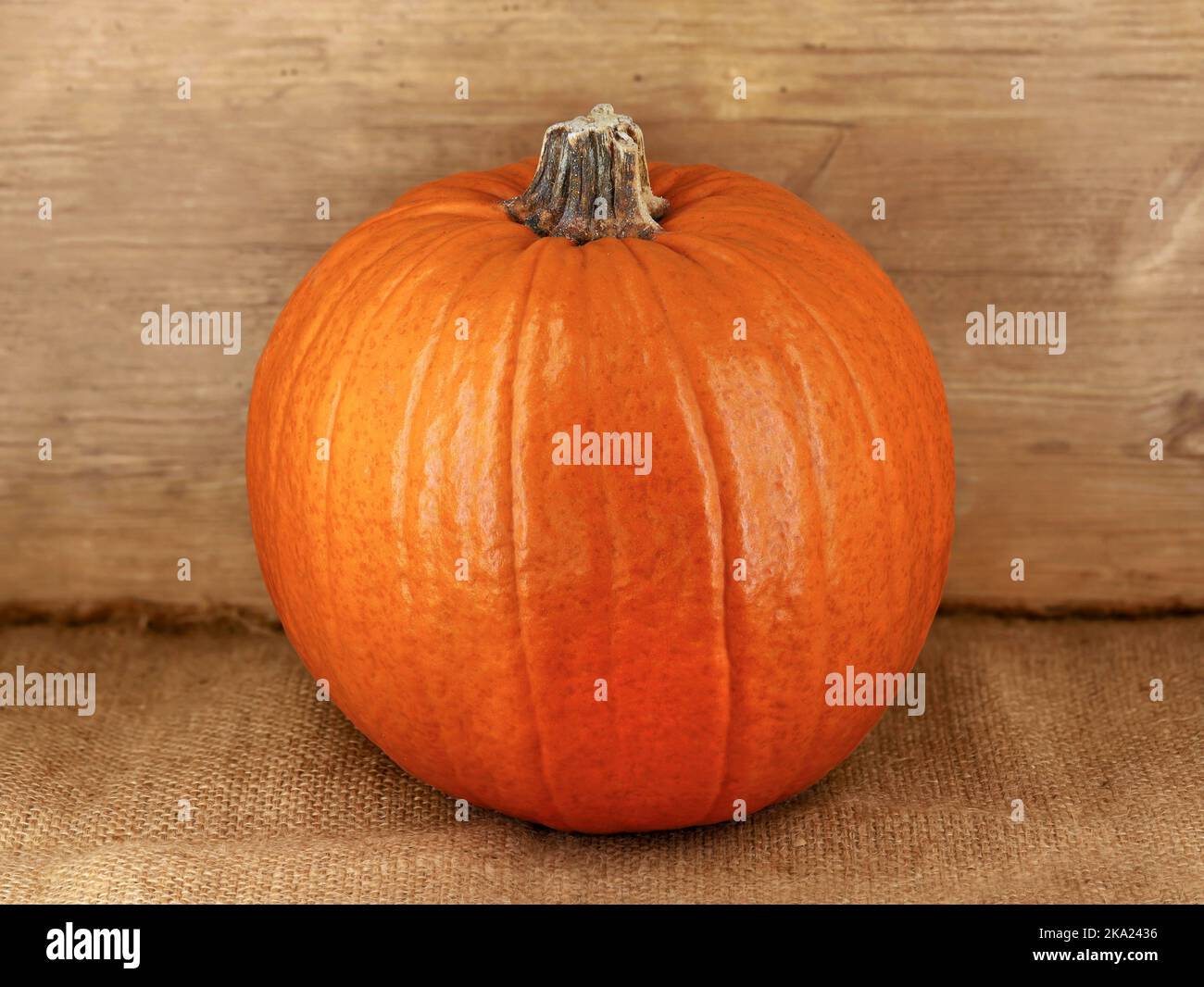 zucca intera rotonda su sacco di iuta con sfondo rustico in legno, la zucca perfetta per tagliare le sfacciate di halloween Foto Stock