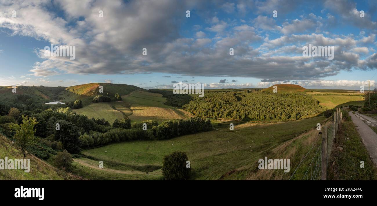 Blakey Topping collina naturale vicino Pickering, East Yorkshire, Regno Unito Foto Stock