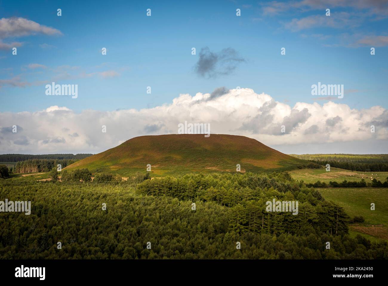 Blakey Topping collina naturale vicino Pickering, East Yorkshire, Regno Unito Foto Stock