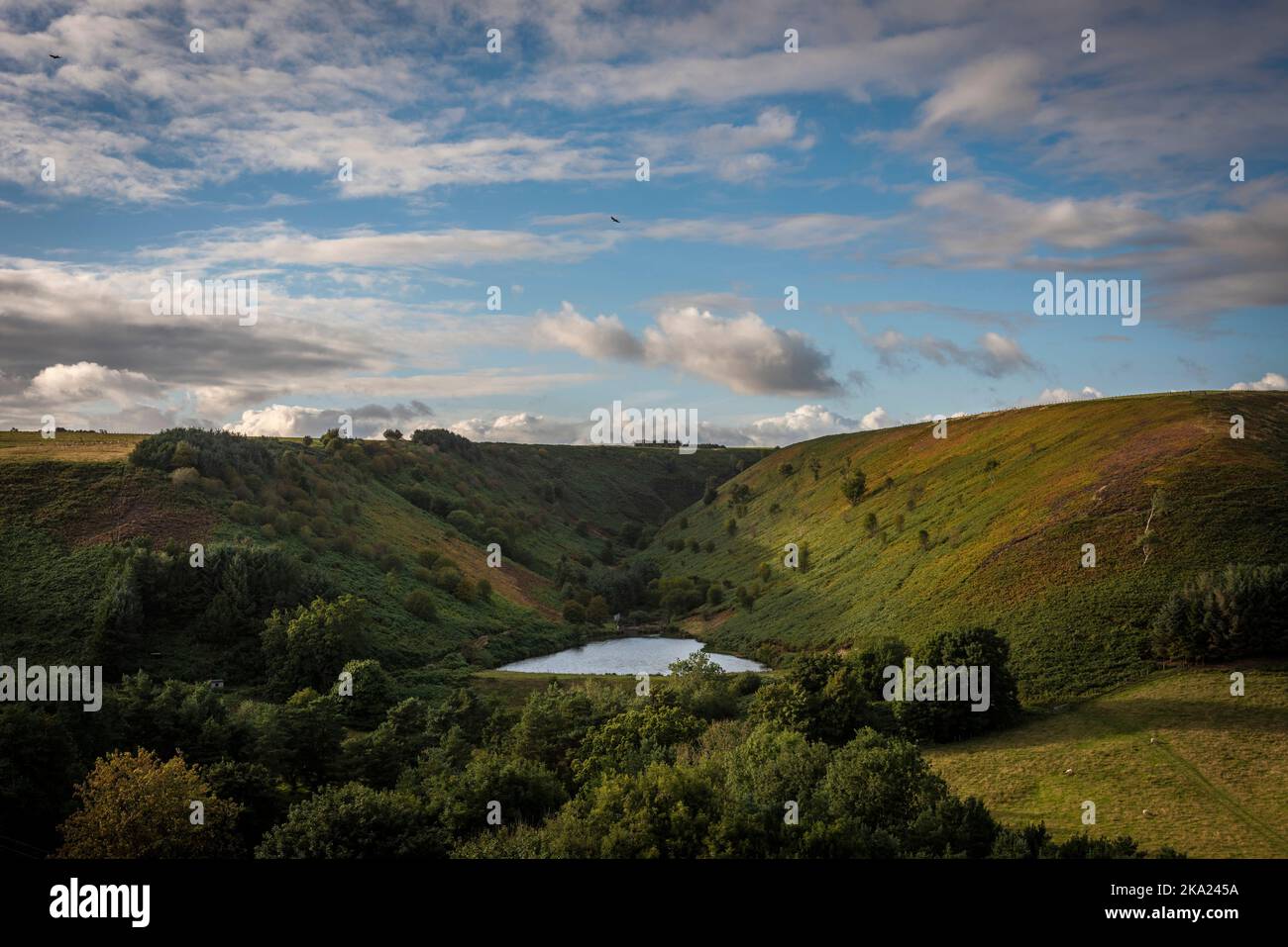 Un bacino idrico vicino a Blakey Topping, East Yorkshire, Regno Unito Foto Stock