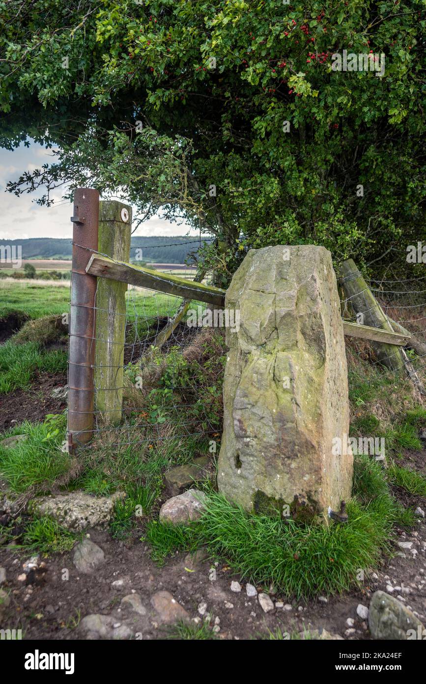 Blakey Topping Standing Stones vicino Pickering, East Yorkshire, Regno Unito Foto Stock