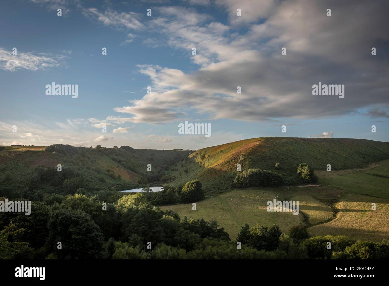 Un bacino idrico vicino a Blakey Topping, East Yorkshire, Regno Unito Foto Stock