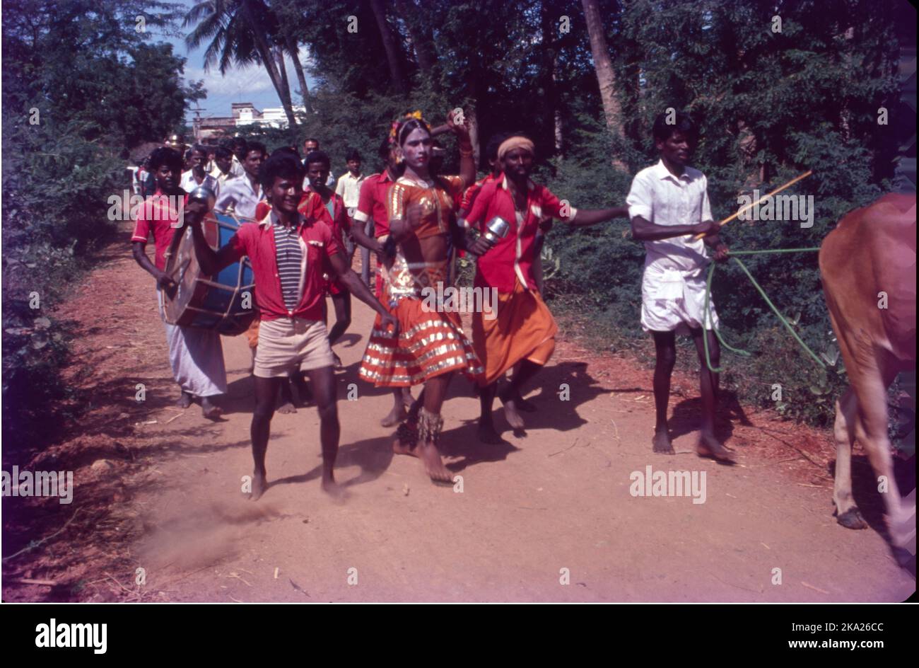 Pongal - viene il 14th gennaio, ed è celebrato per il 4days, è fondamentalmente una festa del raccolto, come questo festival è celebrato per ringraziare Sun Dio, Signore Indra per aver aiutato gli agricoltori a ottenere raccolti migliori resa. Pongal è un festival agricolo che porta entusiasmo per la gente del Tamil Nadu, parte di Andhra Pradesh, e Telangana, la parola Pongal in Tamil significa traboccante. Foto Stock