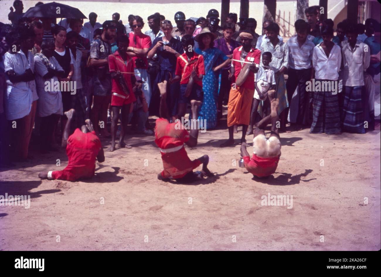 Pongal - viene il 14th gennaio, ed è celebrato per il 4days, è fondamentalmente una festa del raccolto, come questo festival è celebrato per ringraziare Sun Dio, Signore Indra per aver aiutato gli agricoltori a ottenere raccolti migliori resa. Pongal è un festival agricolo che porta entusiasmo per la gente del Tamil Nadu, parte di Andhra Pradesh, e Telangana, la parola Pongal in Tamil significa traboccante. Foto Stock