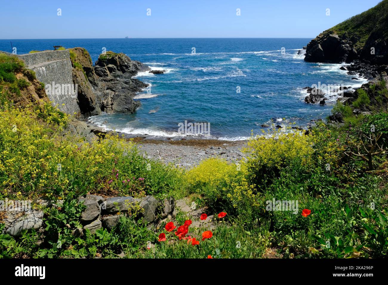 Piccola baia e spiaggia a Cadgwith, Cornwall, Regno Unito - John Gollop Foto Stock