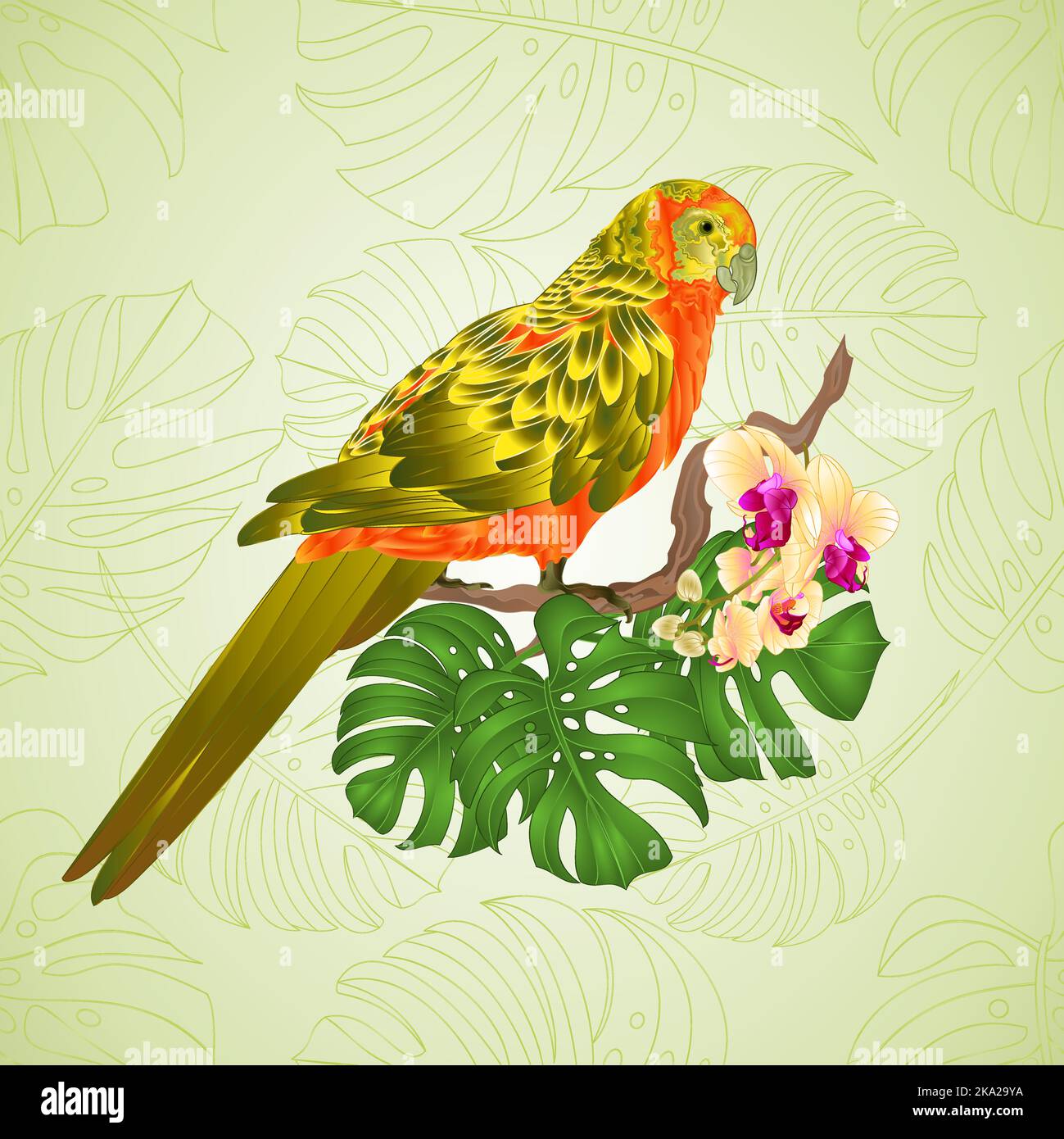 Sun Conure Parrot uccello esotico tropicale con bella orchidea gialla e philodendron vettore illustrazione modificabile disegno a mano Illustrazione Vettoriale