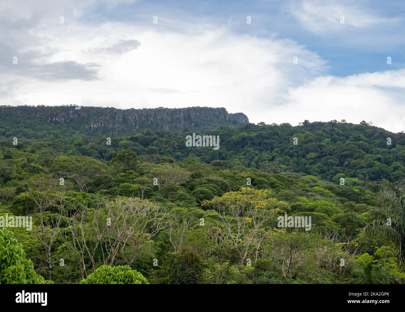 Le montagne piane di Tepui si distinguono sopra la fitta foresta tropicale. Tepequém, Stato di Roraima, Brasile. Foto Stock