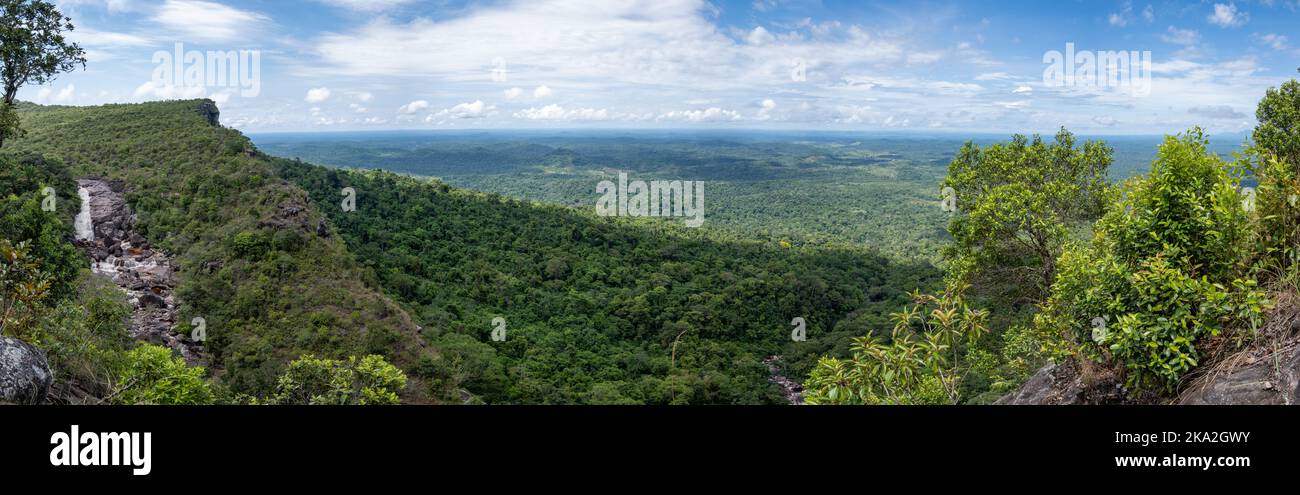 Vista panoramica delle montagne pianeggianti di Tepui e della foresta tropicale circostante. Tepequém, Stato di Roraima, Brasile. Foto Stock