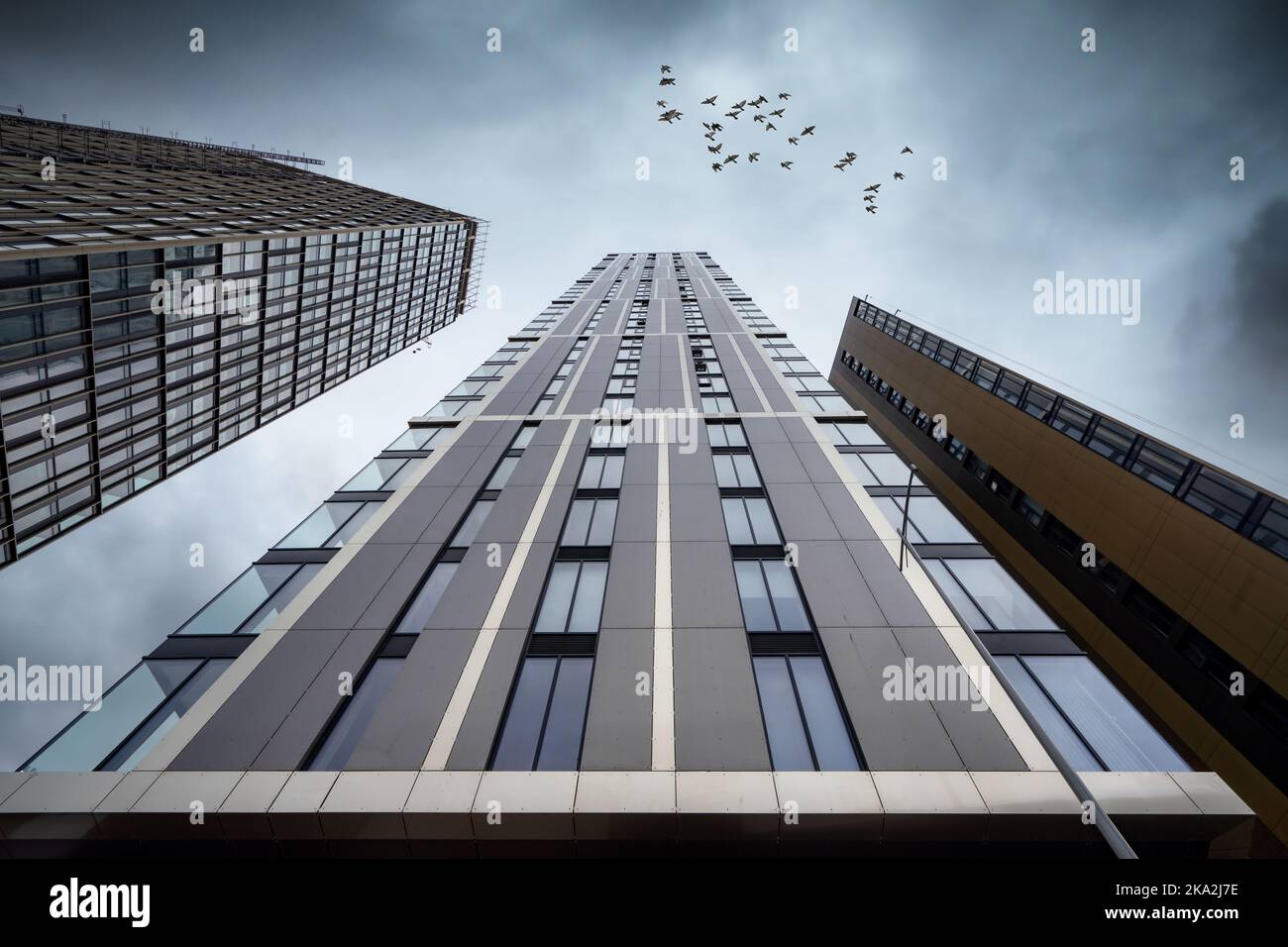 Birmingham Inghilterra drammatico edificio a torre prospettiva moderno di appartamenti che guarda allo skyline con uccelli che volano sopra. Paesaggio urbano con Moody Foto Stock