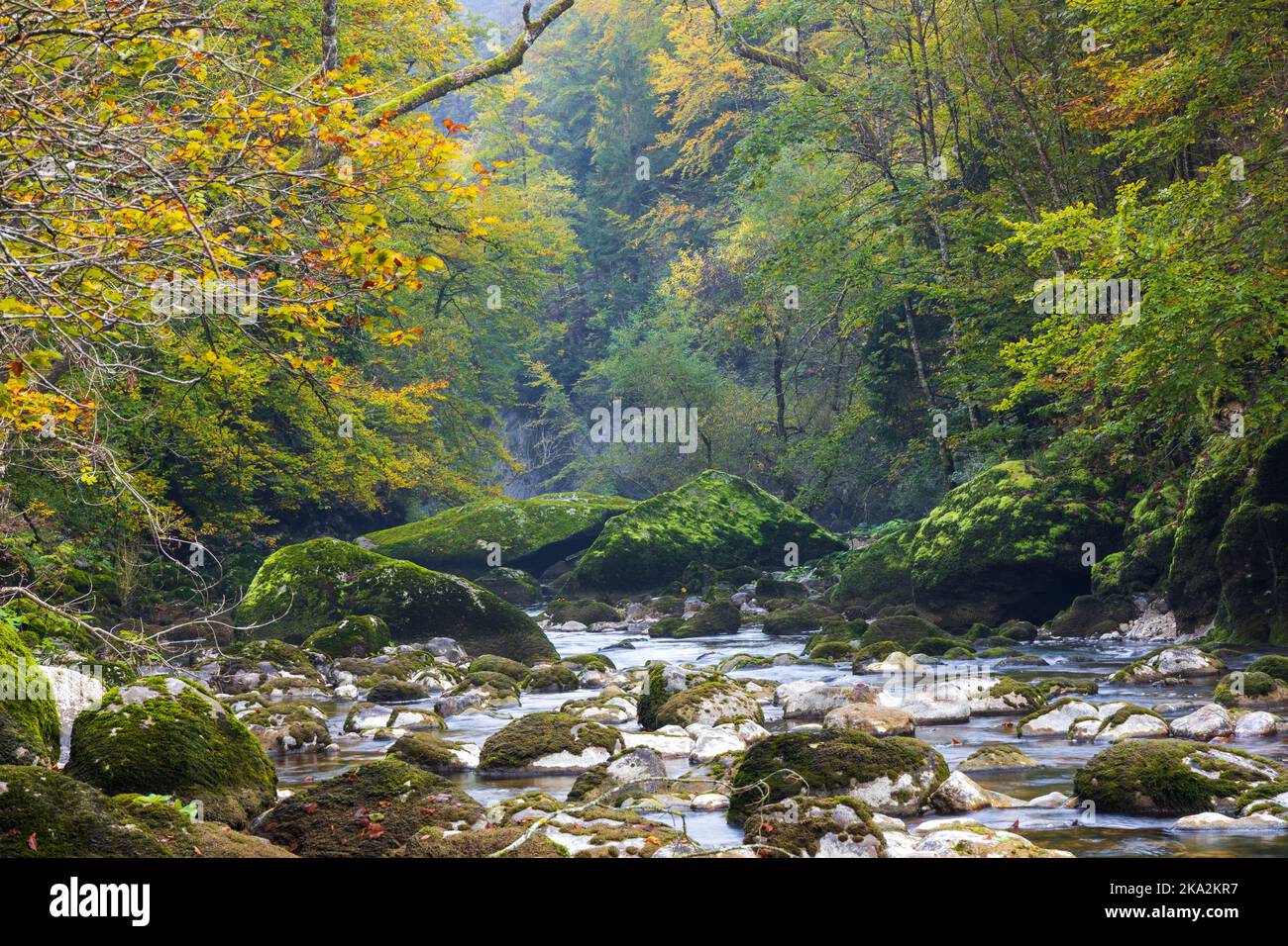 Un bellissimo scatto di un fiume che scorre in Gorges de l'Areuse, Boudry, Svizzera in autunno Foto Stock