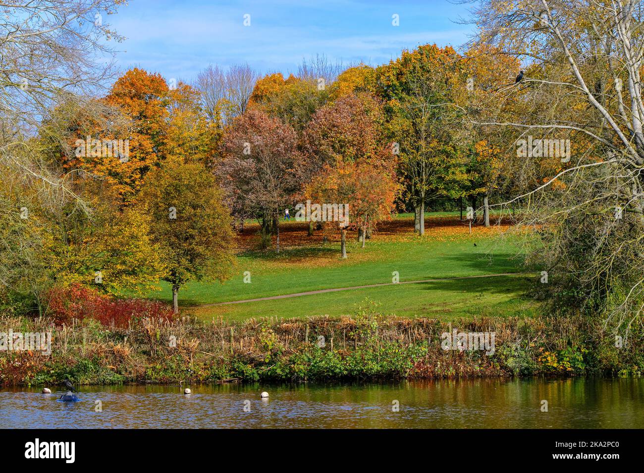 Fairlands Valley Park Stevenage in autunno Foto Stock