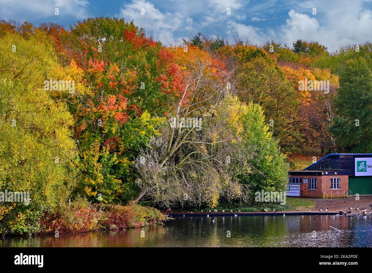 Fairlands Valley Park Stevenage in autunno Foto Stock