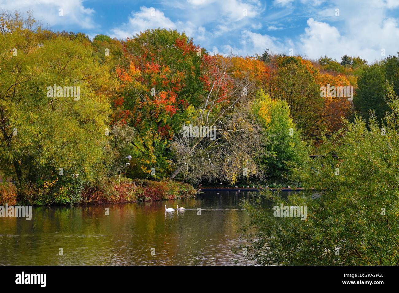 Fairlands Valley Park Stevenage in autunno Foto Stock