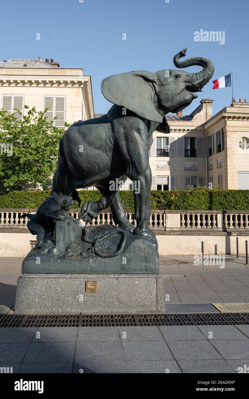 Una statua chiamata 'Elephant pris au piege' (elefante catturato in una trappola) a Parigi Foto Stock