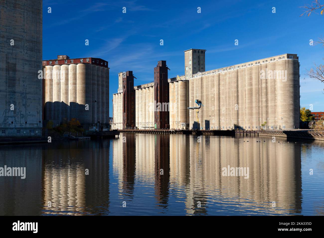 Silo City, Buffalo River, Buffalo, New York, Stati Uniti Foto Stock