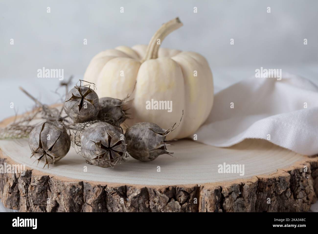 Primo piano della zucca Baby Boo Ghost su un blocco di legno con semi di Nigella e tovagliolo di lino crema su uno sfondo chiaro. Spazio per la copia Foto Stock