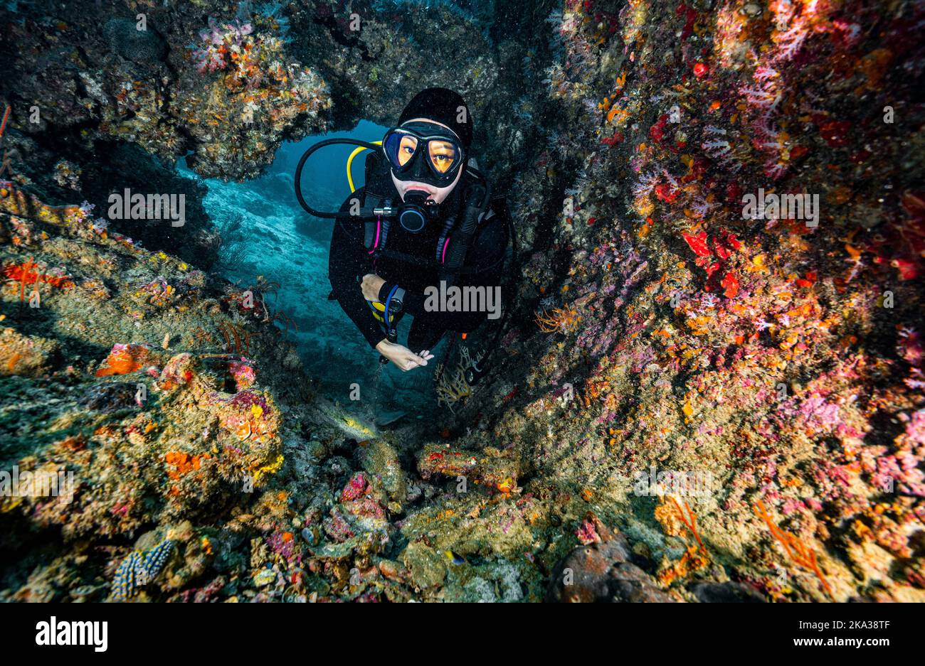 Tuffatore esplorando una barriera corallina nel Mare delle Andamane del Sud / Thailandia Foto Stock