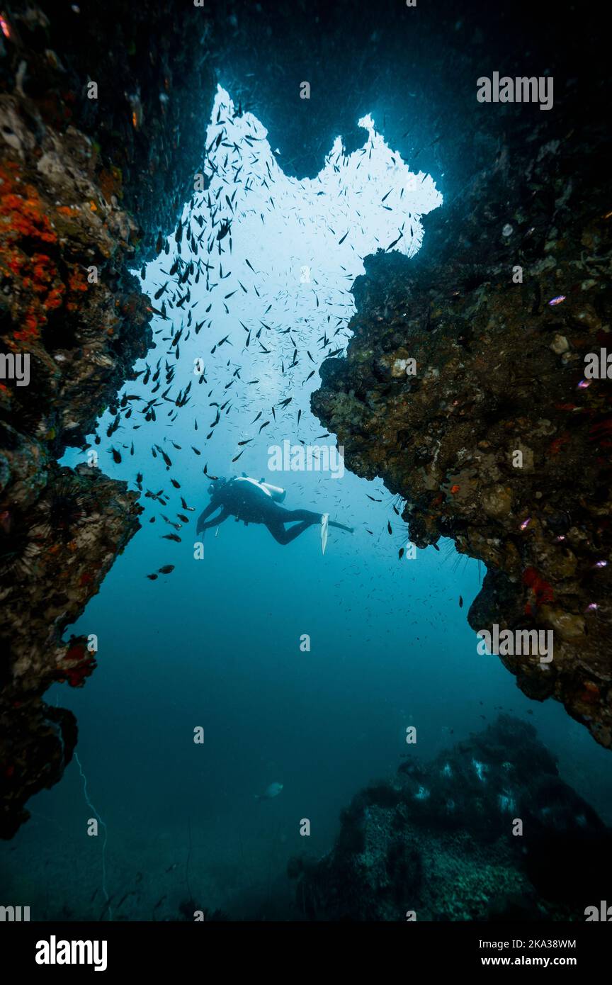 Tuffi esplorando l'oceano vicino a Chumphon nel golfo della Thailandia Foto Stock