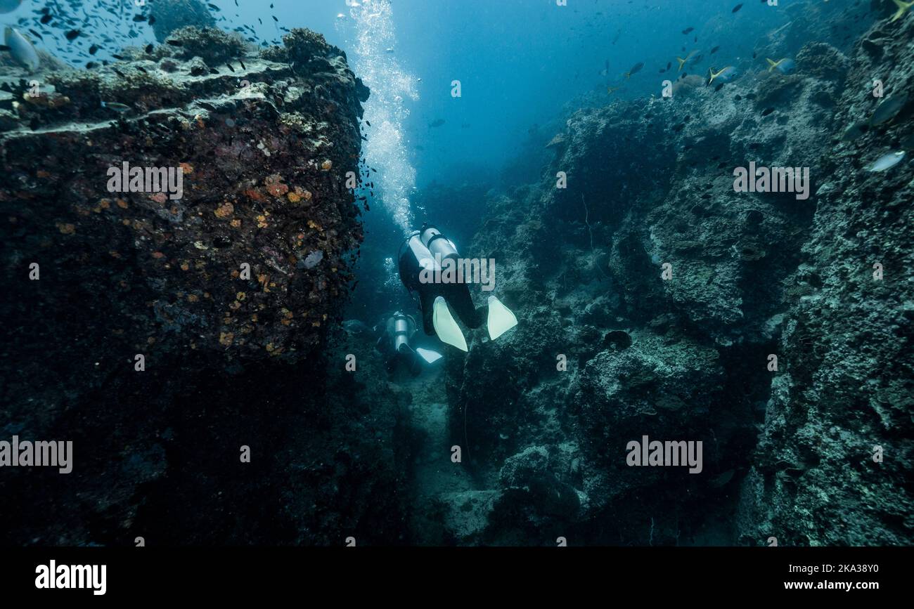 Tuffi esplorando l'oceano vicino a Chumphon nel golfo della Thailandia Foto Stock