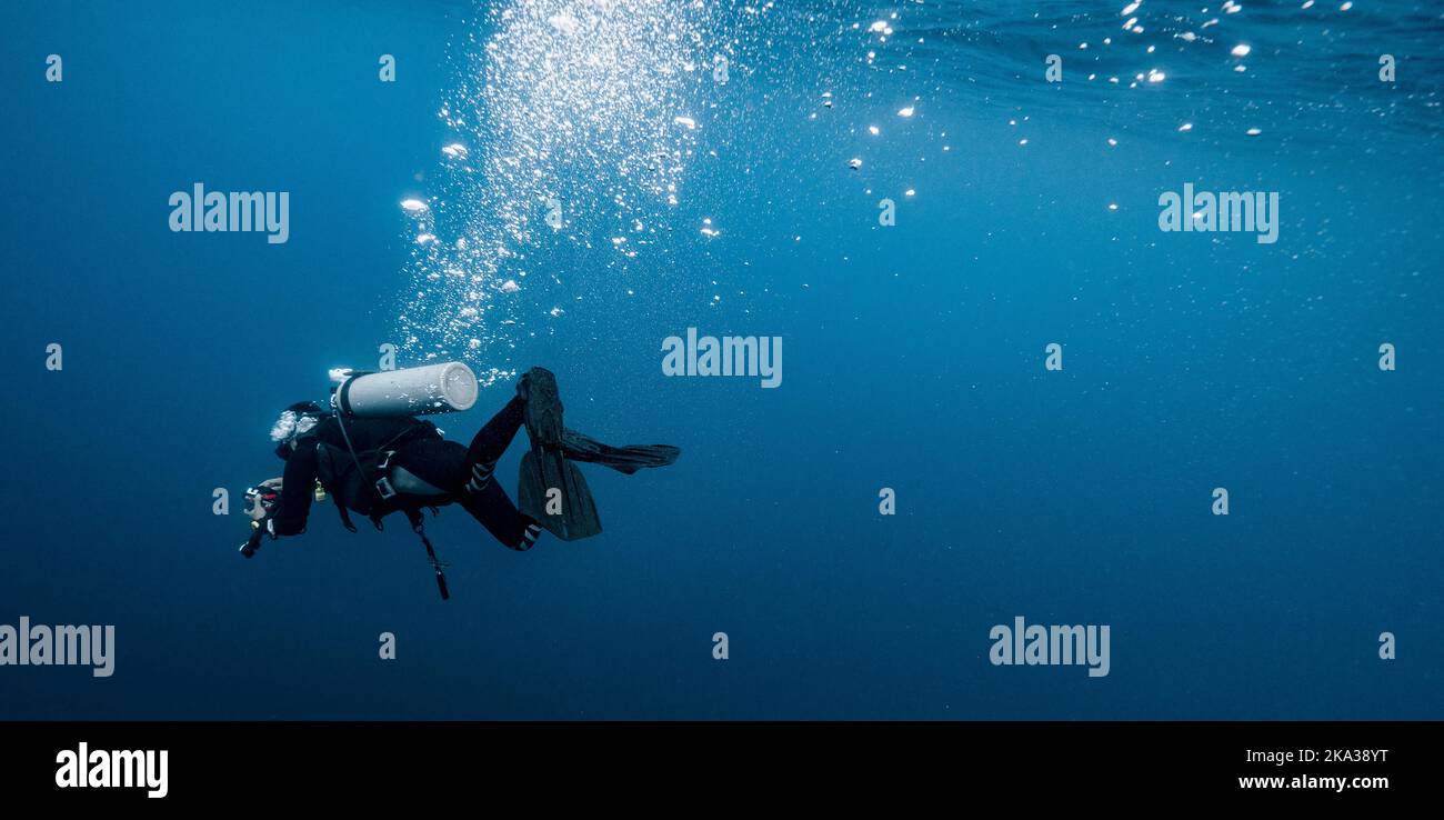 Tuffi esplorando l'oceano vicino a Chumphon nel golfo della Thailandia Foto Stock