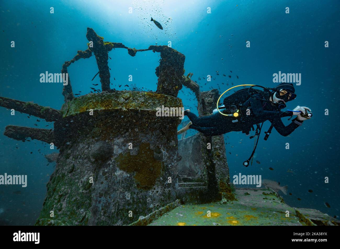 Tuffatore esplorando il relitto del Sattakut vicino a Koh Tao Foto Stock