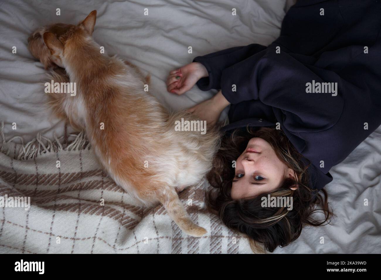 La ragazza e il cane si stendono sul letto, vista dall'alto Foto Stock