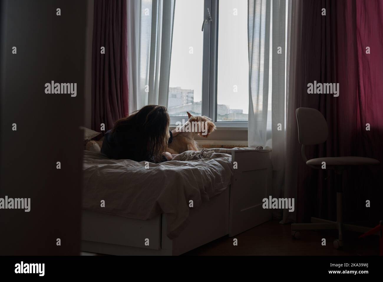Una ragazza e un cane su un grande letto in una camera vicino alla finestra Foto Stock