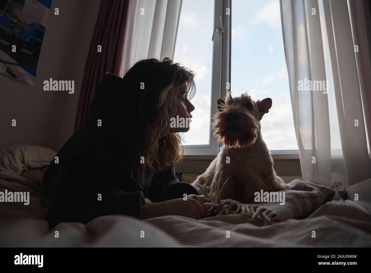 Una ragazza e un cane divertente davanti alla finestra. Foto Stock