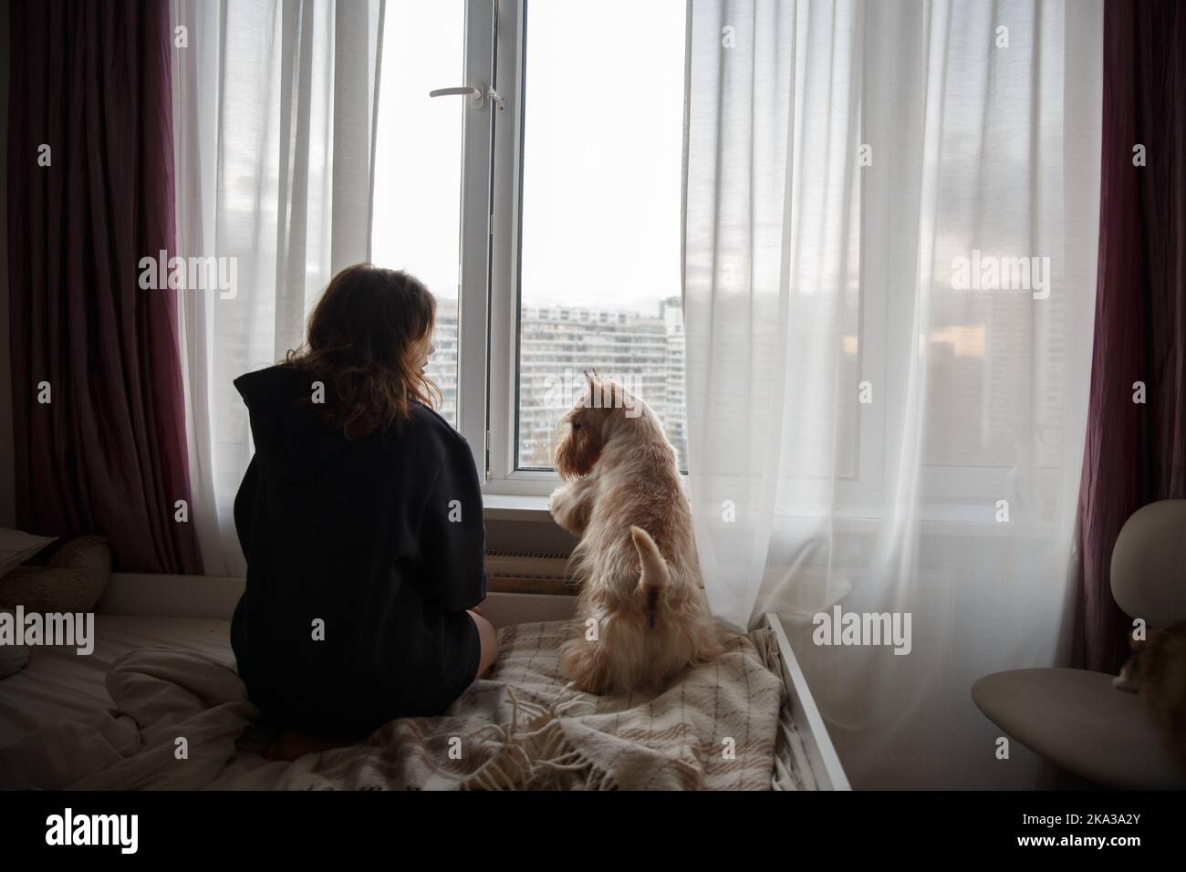 Una ragazza e un cane su un grande letto in camera si affacciano sulla finestra Foto Stock