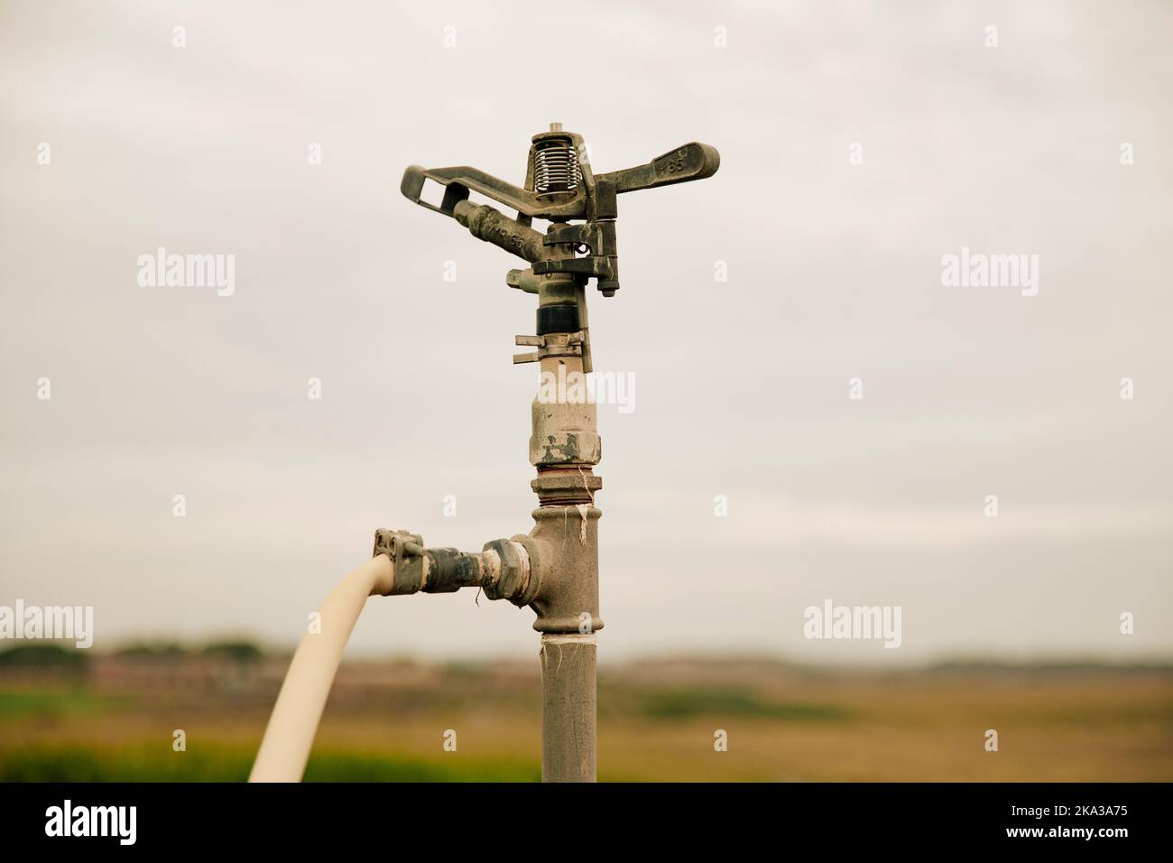 Primo piano di un impianto di irrigazione a sprinkler per il campo Foto Stock