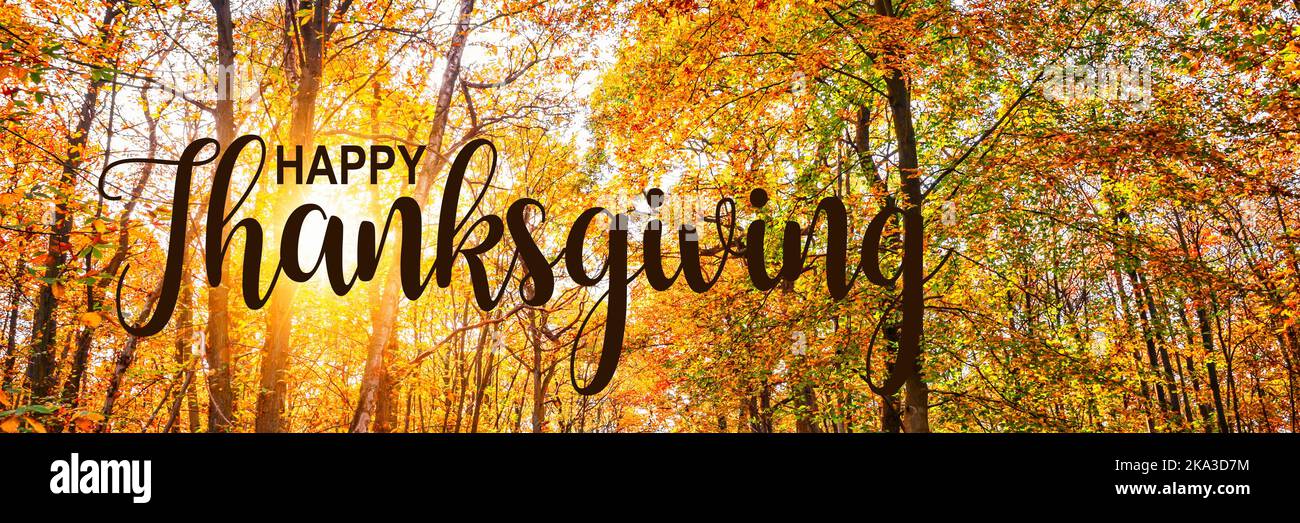 Felice Thanksgiving web banner, panorama di alberi con sole in una foresta in autunno Foto Stock