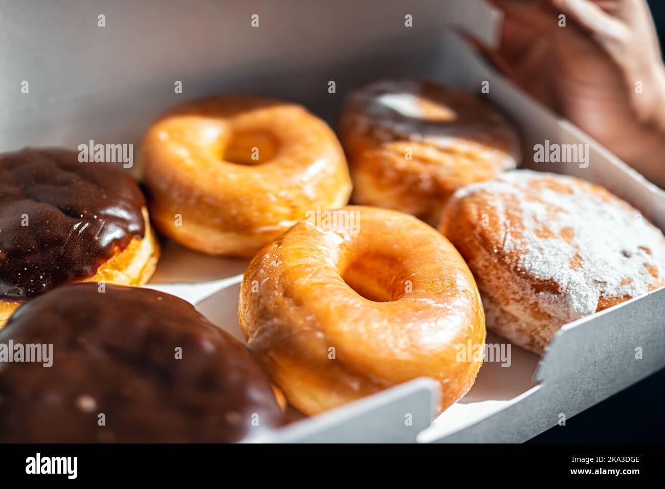 Uomo che tiene mezza dozzina di ciambelle in scatola contenitore cartone, pasta fritta da dessert glassata di Boston crema, riempimento di cioccolato Foto Stock