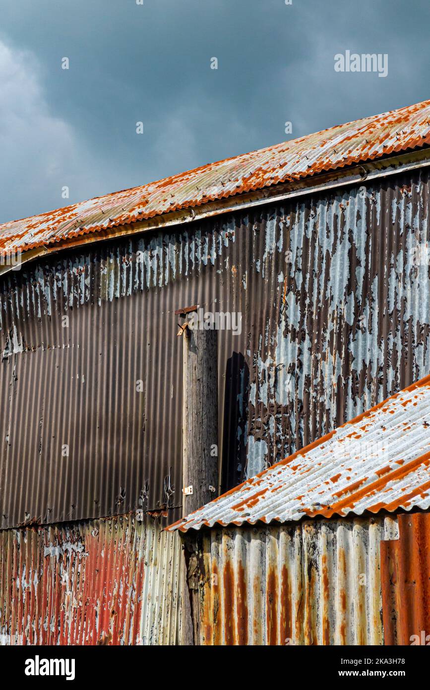 Particolare di una parete di ferro corrugato su un edificio metallico con segni di ruggine e decadimento. Foto Stock